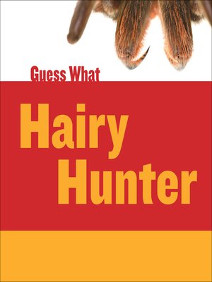cover image of Hairy Hunter